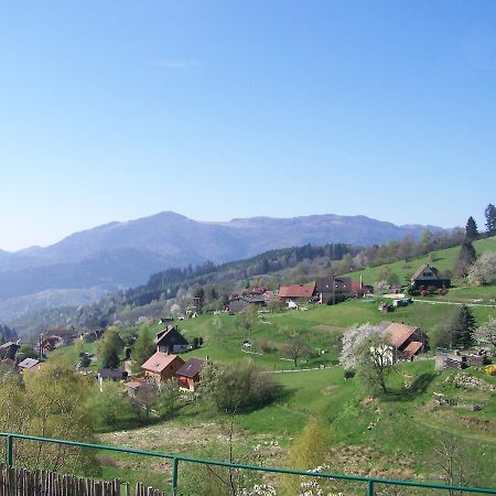 Les Lupins Bed and Breakfast Geishouse Buitenkant foto