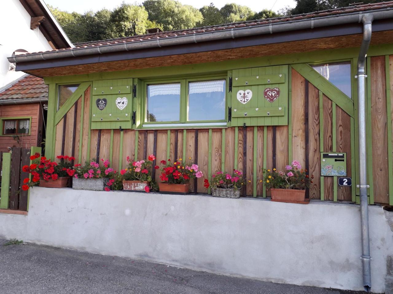 Les Lupins Bed and Breakfast Geishouse Buitenkant foto