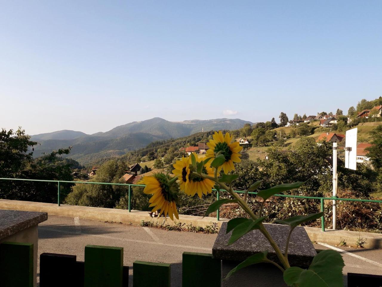 Les Lupins Bed and Breakfast Geishouse Buitenkant foto